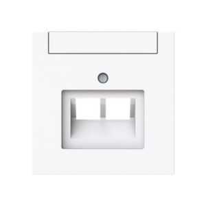 ABB - Plaque centrale Raccordement des données 2 gang studio blanc - Busch-art linear - 2CKA001710A4231
