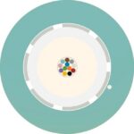 Aginode Belgium - LANmark-OF LooseTube Universal 12X Multimode 50/125 OM3 LSZH Cca AQUA - N165.LTUN12-AC