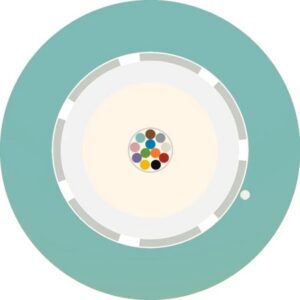 Aginode Belgium - LANmark-OF LooseTube Universal 12X Multimode 50/125 OM3 LSZH Cca AQUA - N165.LTUN12-AC