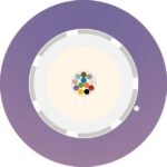 Aginode Belgium - LANmark-OF LooseTube Universal 12X Multimode 50/125 OM4 LSZH Cca VIOLET - N167.LTUN12-VC