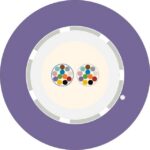 Aginode Belgium - LANmark-OF LooseTube Universal 24X Multimode 50/125 OM4 LSZH Cca VIOLET - N167.LTUN24-VC