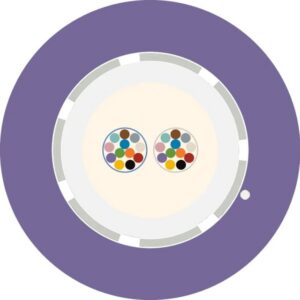 Aginode Belgium - LANmark-OF LooseTube Universal 24X Multimode 50/125 OM4 LSZH Cca VIOLET - N167.LTUN24-VC