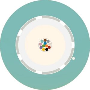Aginode Belgium - LANmark-OF LooseTube Universal 6F Multimode 50/125 OM3 LSZH Cca AQUA - N165.LTUN06-AC