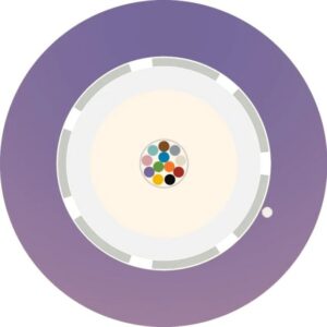 Aginode Belgium - LANmark-OF LooseTube Universal 6X Multimode 50/125 OM4 LSZH Cca VIOLET - N167.LTUN06-VC