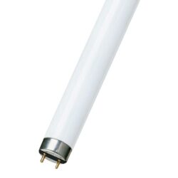 Tube fluorescent T8 G13 10W 2700K 330 mm culot bi broches