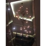 BAILEY - LED Compact G4 12V-24V AC/DC 2W 3000K 160lm Clair 360D 10x36mm - 80100040749 – Image 3