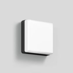 BEGA - Wall luminaire for indoors & outdoors Graphite 3000K - 24892K3