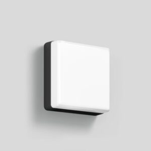 BEGA - Wall luminaire for indoors & outdoors Graphite 3000K - 24892K3