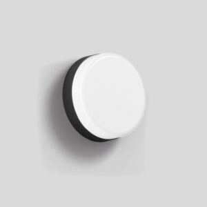 BEGA - Wall luminaire for indoors & outdoors Graphite 3000K - 24894K3