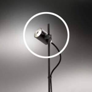 Projecteur LED noir orientable sur pique avec câble pour éclairage extérieur IP65