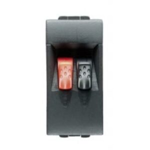 BTICINO - Connecteur Living - 2P - pour haut-parleur Home Cinema - bornes automatiques - L4294