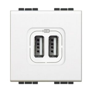Chargeur USB blanc avec deux ports USB Type C encastrable pour prise murale