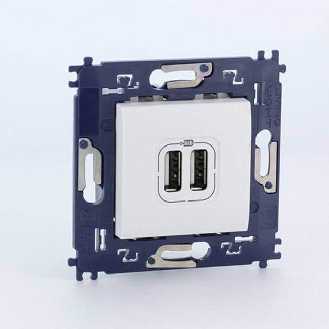 BTICINO - LL complet double chargeur USB à vis blanc - N4285C2V BTICINO - LL complet double chargeur USB à vis blanc - N4285C2V