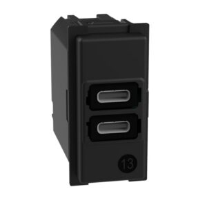 Prise double USB C 15W noire composable 1 module avec deux ports USB C