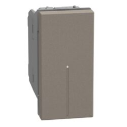 Détails visibles de Interrupteur inverseur axial 10AX 1 module stone pour Interrupteurs inverseurs