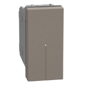 BTICINO - LightN inverseur Ax. 10AX 1 mod - stone - YG4054