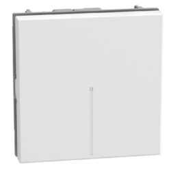Détails visibles de Interrupteur inverseur axial 10AX 2 modules blanc pour Interrupteurs inverseurs