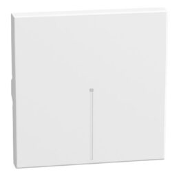 BTICINO - LightN touche ax. pr commandes 2 mod - blanc - YW4916M2