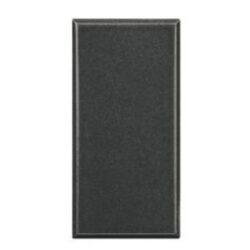 BTICINO - Obturateur Axolute - 1 module - gris foncé - HS4950