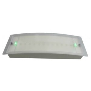 Bloc de secours LED permanent 100 lm boîtier blanc rectangulaire avec voyants verts