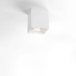DELTA LIGHT - Boxy Spot apparent 50W QPAR51 GU10 100-240V IP20 blanc - 251 67 20 W