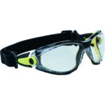 Deltaplus - Lunettes polycarbonate sans couleurs - PACAYSTIN
