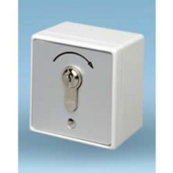 FAAC - FAAC KEY 1 G Contact à clef protégé avec cylindre identique