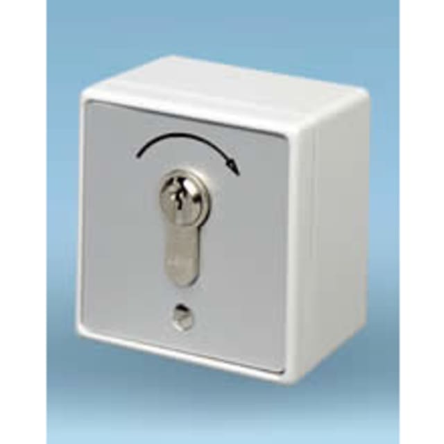 FAAC - FAAC KEY 1 G Contact à clef protégé avec cylindre identique FAAC - FAAC KEY 1 G Contact à clef protégé avec cylindre identique