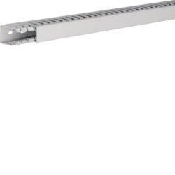 Détails visibles de Goulotte de câblage sans halogène 40x25 mm 40025 pour Goulottes de câblage