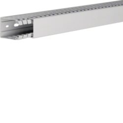 Détails visibles de Goulotte de câblage sans halogène 60x40 mm 60040 pour Goulottes de câblage