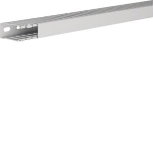 HAGER - Goulotte de câblage HNG 49*24mm - HNG5002507035B