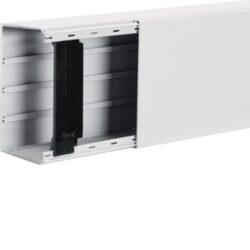 HAGER - Goulotte de distribution / d'installation 60*110 mm - LFF6011009016