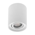 INDIGO - ALBA R GU10 MAX10W PAR16 Blanc mat - WA19530