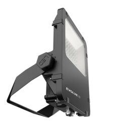 Projecteur LED Evolve 2 12W 4000K noir, configuration visible