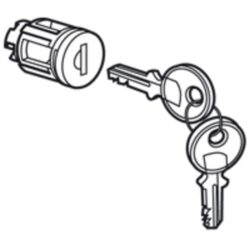 LEGRAND - Barillet à clé type 405 pour portes métal ou vitrées - 020291