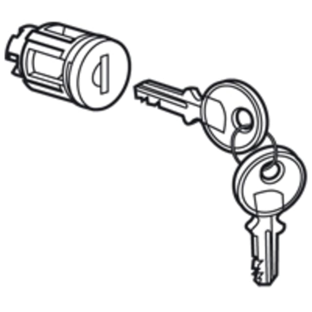 LEGRAND - Barillet à clé type 455 pour portes métal ou vitrées - 020292 LEGRAND - Barillet à clé type 455 pour portes métal ou vitrées - 020292