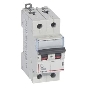 LEGRAND - Disjoncteur DX³ 6000A/10kA 2P C02 400V 2 modules - 407793