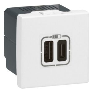 LEGRAND - Mosaic chargeur USB type A+C 2 mod-blanc - 077592