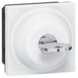 LEGRAND - Mosaic inter à clé 2 pos. 6A 250V 2 mod. Blanc - 077072