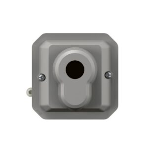 LEGRAND - Plexo Inter à clé 2 position pour barillet Euro méca gris - 069706L