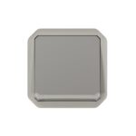 LEGRAND - Plexo inter 2 direct. lumineux mécanisme IP55 IK08 gris - 069513L