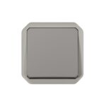 LEGRAND - Plexo inter 2P lum-témoin livr ss lampe méca IP55 IK08 gris - 069530L