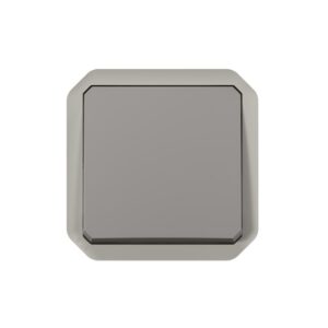 LEGRAND - Plexo inter 2P lum-témoin livr ss lampe méca IP55 IK08 gris - 069530L