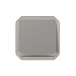 LEGRAND - Plexo poussoir NO lumineux 10A mécanisme IP55 IK08 gris - 069542L