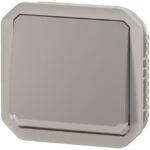 LEGRAND - Plexo prise 2P+T bornes à vis mécanisme IP55 IK08 gris - 069552L