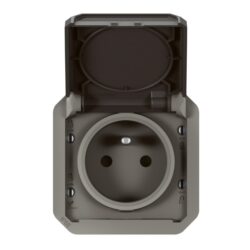 LEGRAND - Plexo prise 2P+T bornes auto mécanisme IP55 IK08 anthracite - 069891L