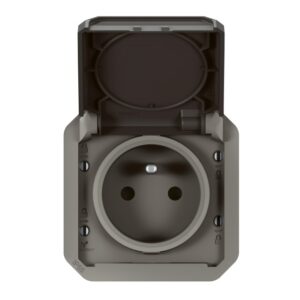 LEGRAND - Plexo prise 2P+T bornes auto mécanisme IP55 IK08 anthracite - 069891L