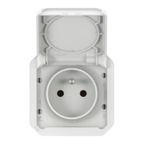 LEGRAND - Plexo prise 2P+T bornes auto mécanisme IP55 IK08 blanc - 069621L