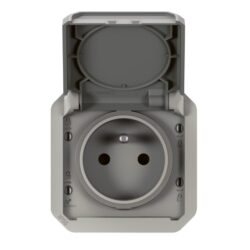 LEGRAND - Plexo prise 2P+T bornes auto mécanisme IP55 IK08 gris - 069551L