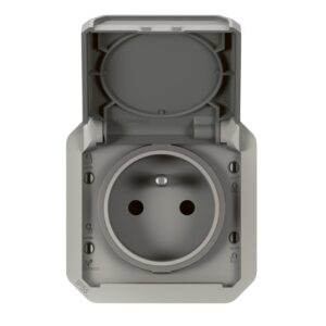 LEGRAND - Plexo prise 2P+T bornes auto mécanisme IP55 IK08 gris - 069551L